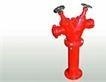 Tru chữa cháy 2 cửa D65 kèm thân